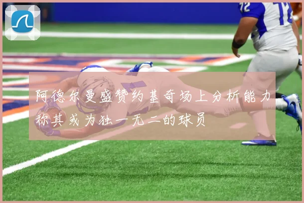 阿德尔曼盛赞约基奇场上分析能力称其或为独一无二的球员