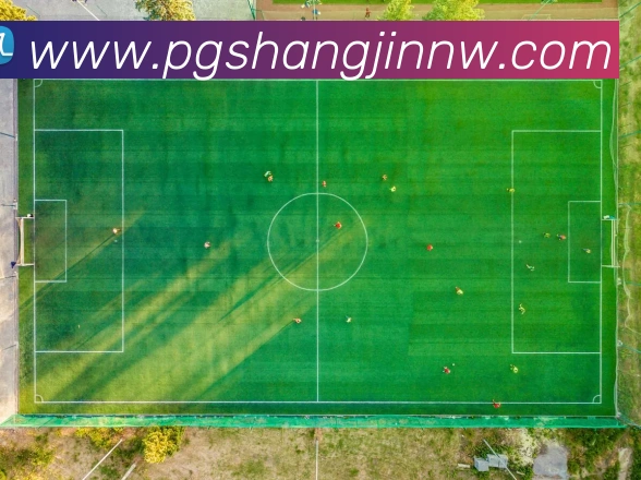 PG电子赏金女王全站App