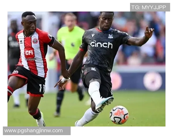 水晶宫计划冬窗出售身价5000万格伊红军将面临皇萨仁激烈竞争