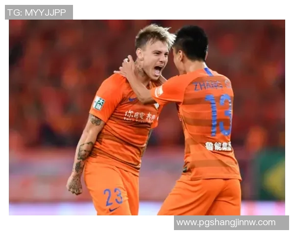 国安面临复杂挑战民企掌控球队难以生存的现状分析 国安面临复杂挑战民企掌控球队难以生存的现状分析