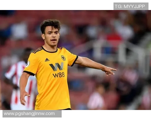 18岁中卫雷吉亚尼训练表现出色有望成为多特主力阵容新星